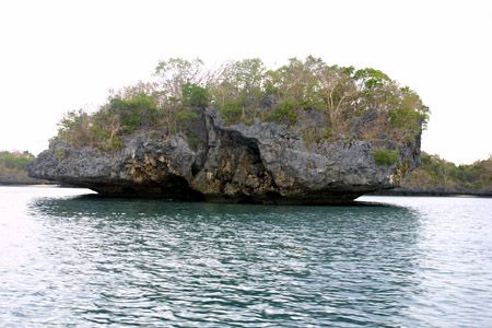 Typical size and shape of the islands. Several other islands have good white sand beaches. You get to pick out one that you prefer as you ride the banca through the islands.
Photo by:: EPPGarcia (2003)