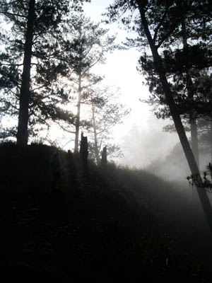 Photo by:: Fabienne (2008)