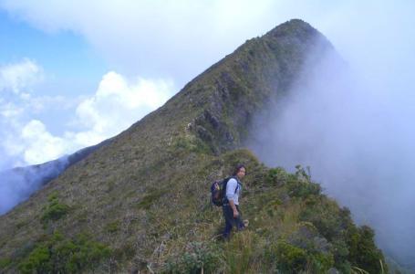 Trail approaching the summit. This is Mt. Halcon Summit (pointed edge in the picture), the toughest and meanest Mountain in the Philippines.
Photo by:: paulperez (2005)