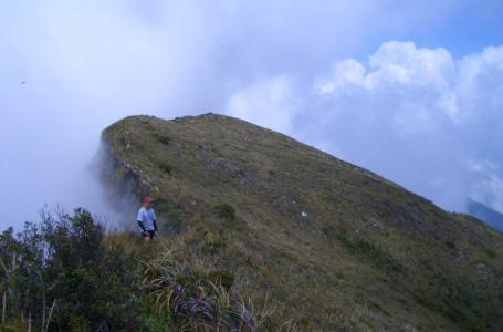 Trailing through the knife edge. This picture is taken with Mt. Halcon's summit at the back of the photographer.
Photo by:: paulperez (2005)
