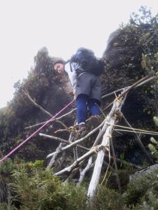 10 foot make shift wooden Ladder before the Summit and knife edge trail to the summit.
Photo by:: paulperez (2005)
