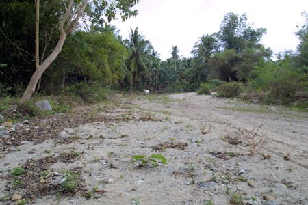 A once nice river now runs dry. It gets to have water flowing only during heavy rains.
Photo by:: EPPGarcia (2003)